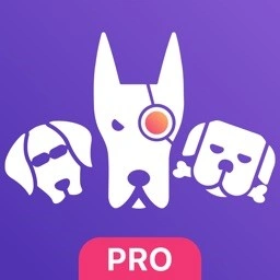 ⚡️ Моя статистика для ВКонтакте iPhone ios Appstore +🎁